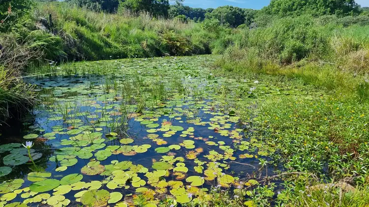 Third view of Homely rural property listing, 1808 Dunoon Road, Dunoon NSW 2480