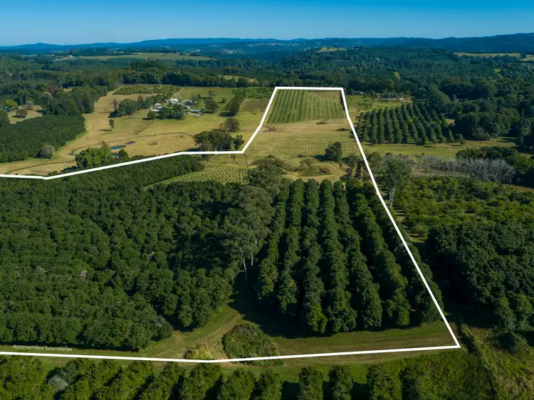 Fifth view of Homely rural property listing, 1808 Dunoon Road, Dunoon NSW 2480