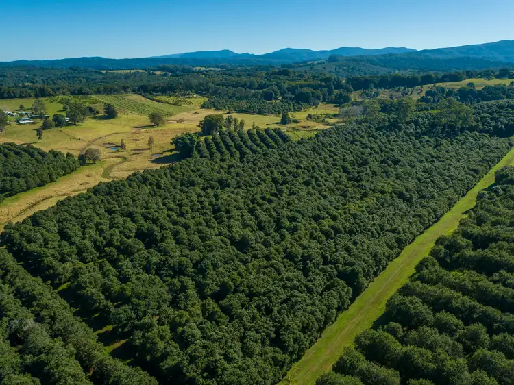 Sixth view of Homely rural property listing, 1808 Dunoon Road, Dunoon NSW 2480