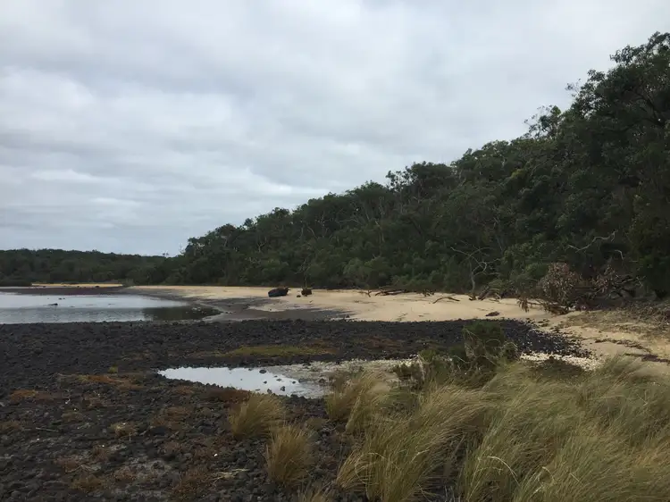 Fourth view of Homely rural property listing, 39 Barge - Access Road, French Island VIC 3921