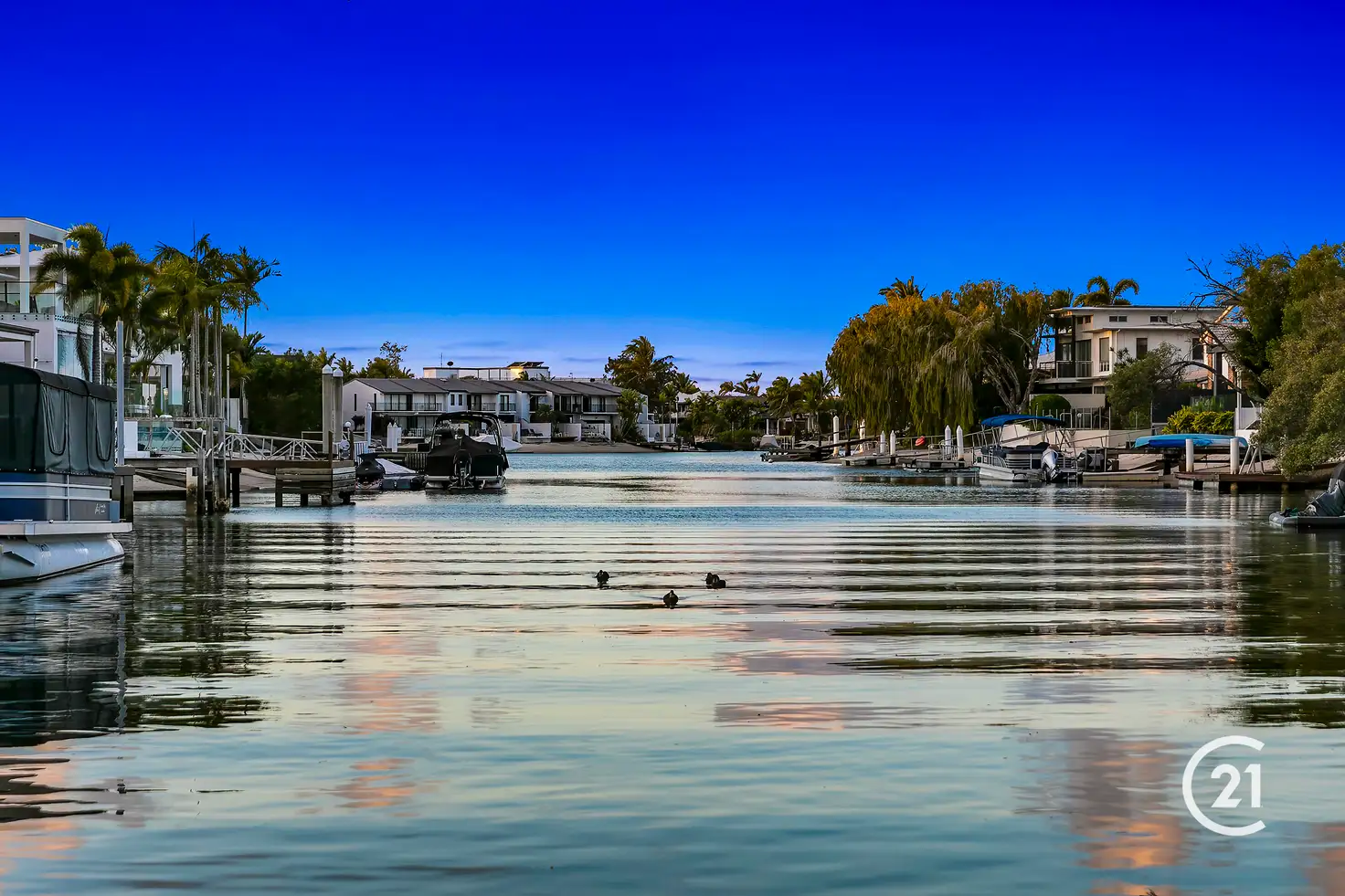 Main view of Homely house listing, 7 Dolphin Crescent, Noosaville QLD 4566