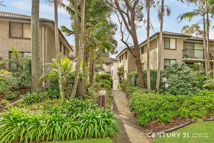 Main view of Homely house listing, 25/211-213 Waterloo Road, Marsfield NSW 2122