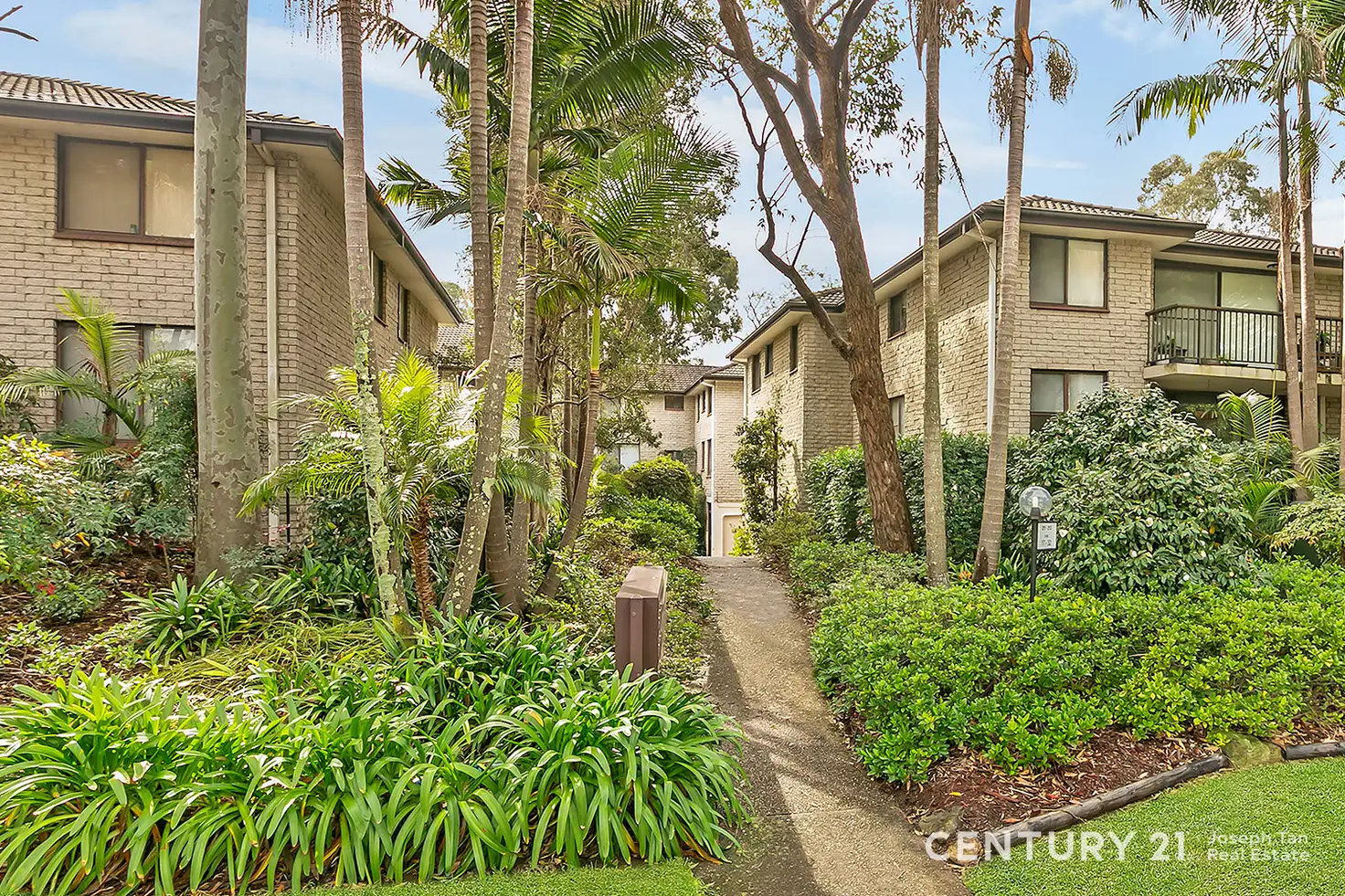 Main view of Homely house listing, 25/211-213 Waterloo Road, Marsfield NSW 2122