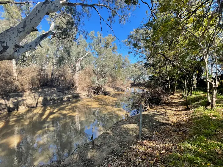 3337 Bedgerabong Road, Bedgerabong NSW 2871