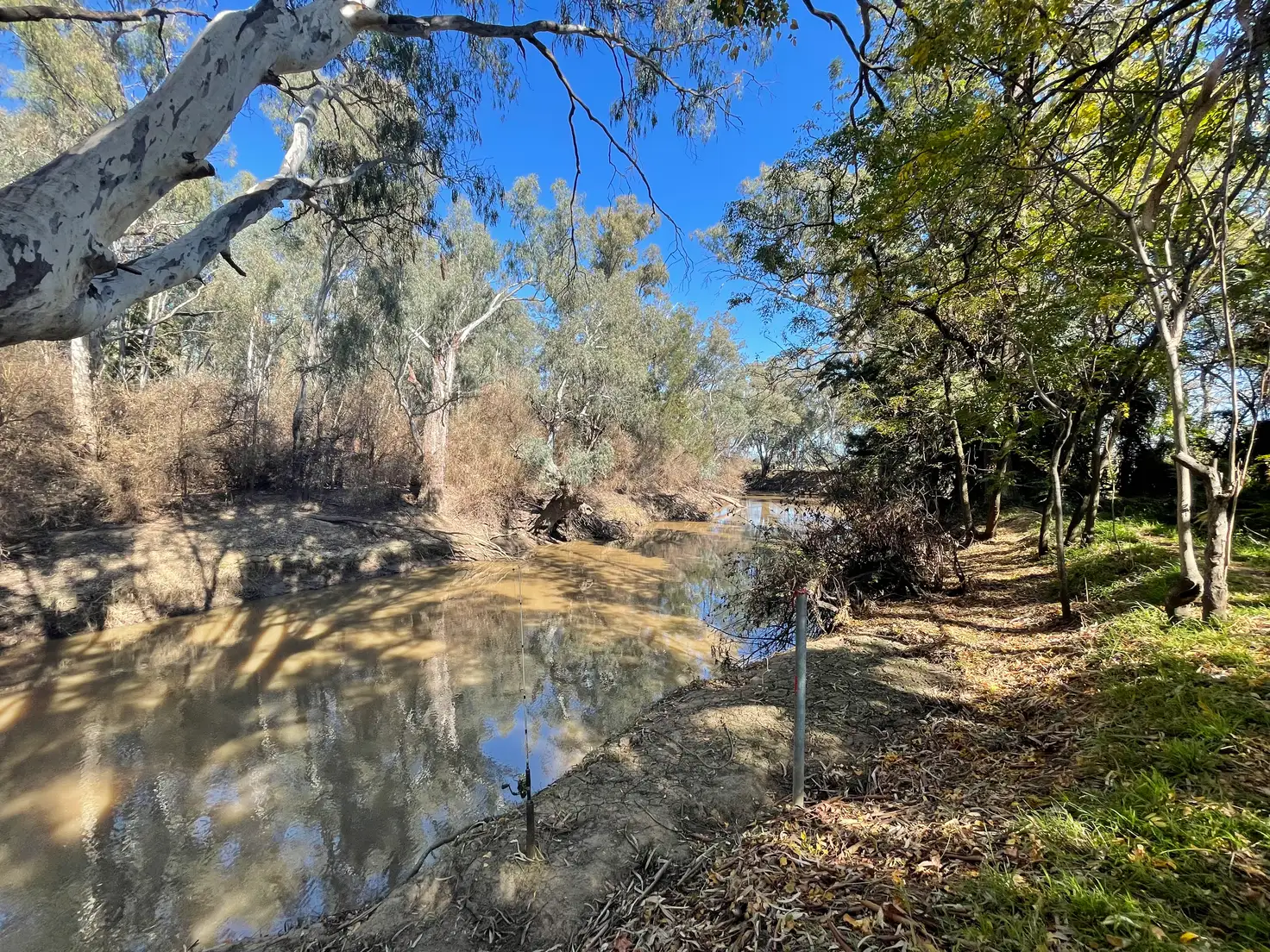 Main view of Homely house listing, 3337 Bedgerabong Road, Bedgerabong NSW 2871