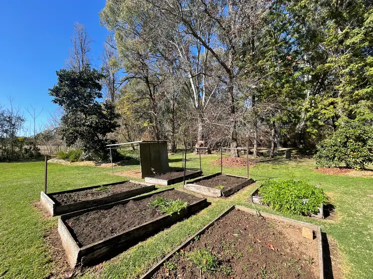 Sixth view of Homely house listing, 3337 Bedgerabong Road, Bedgerabong NSW 2871