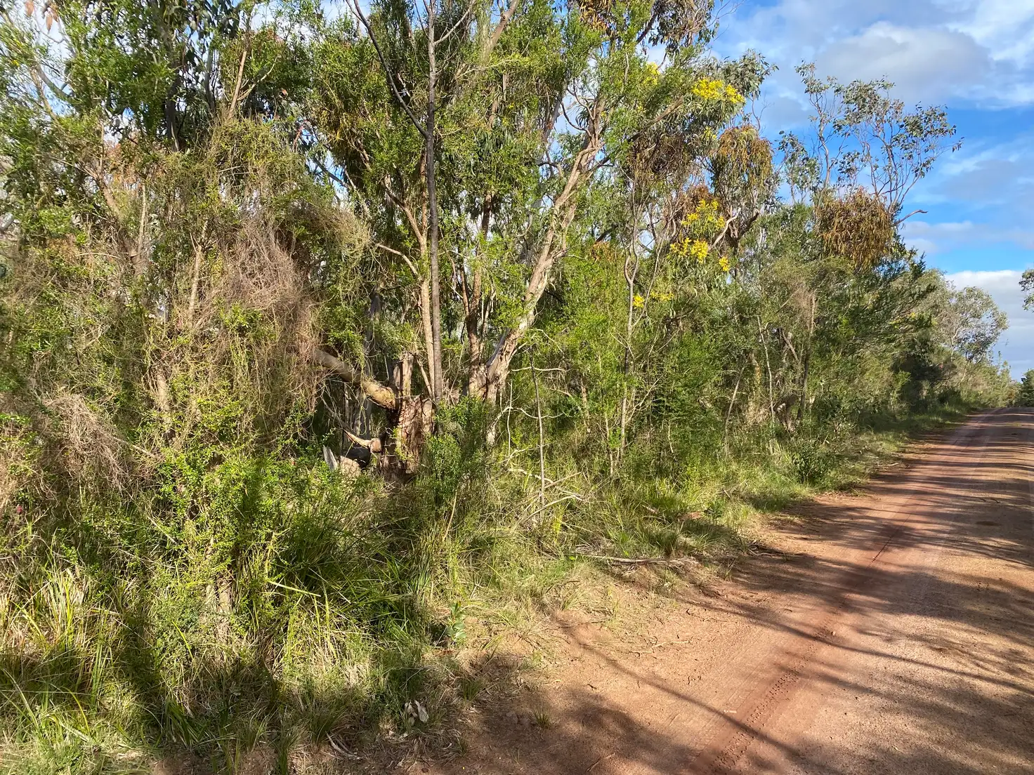 Main view of Homely land listing, Lot 495 Fifth Street, French Island VIC 3921
