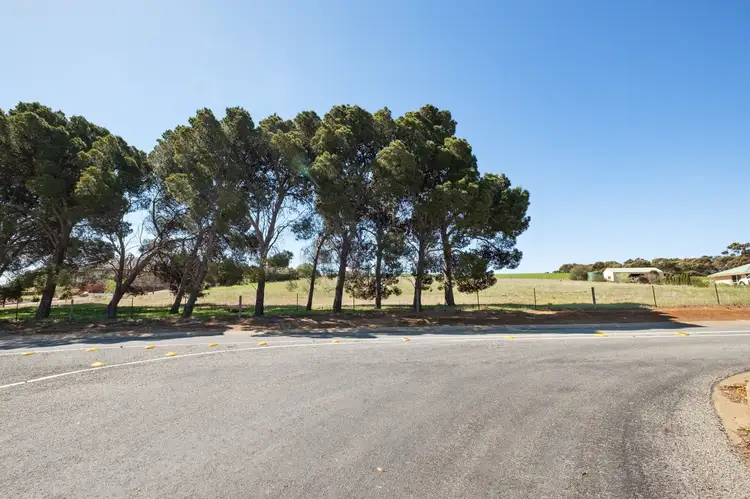 Second view of Homely rural property listing, 43 Hannan Street, Eudunda SA 5374