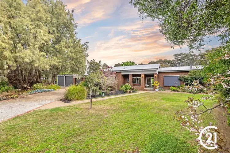 Main view of Homely house listing, 220 Mary Ann Road, Echuca VIC 3564