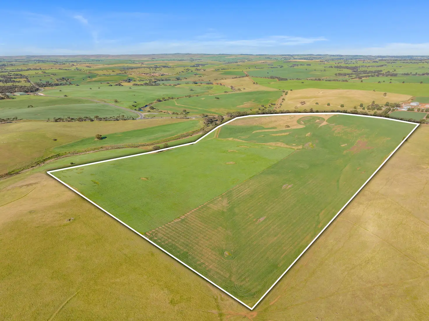 Main view of Homely rural property listing, 2849 Thiele Highway, Kapunda SA 5373