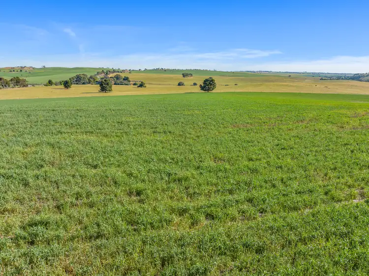 Sixth view of Homely rural property listing, 2849 Thiele Highway, Kapunda SA 5373