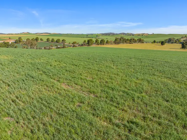 Seventh view of Homely rural property listing, 2849 Thiele Highway, Kapunda SA 5373