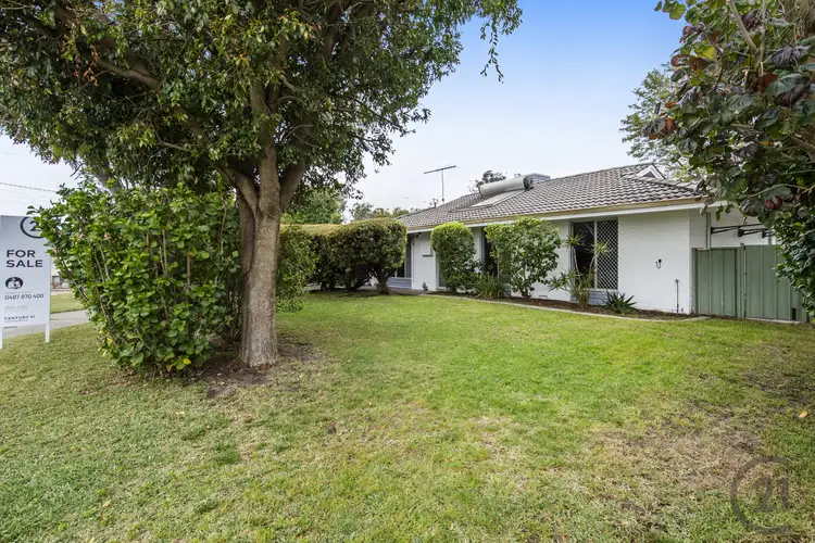 Second view of Homely house listing, 17 Jacksonia Close, Pinjarra WA 6208