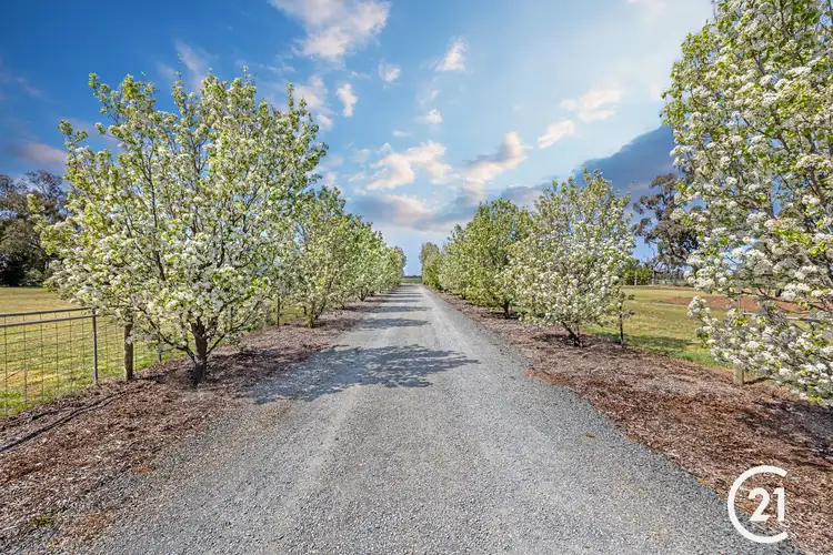 Second view of Homely house listing, 932 Muller Road, Echuca West VIC 3564