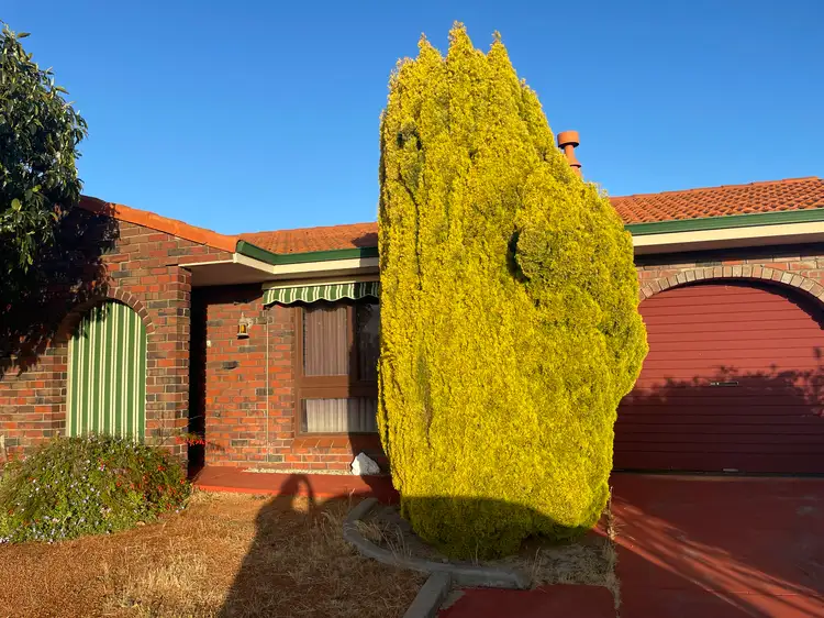 Main view of Homely house listing, 15 Hurst Street, Eaton WA 6232