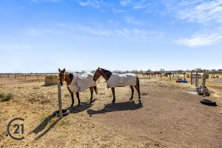 Third view of Homely rural property listing, Lot 3s Border Road, Australia Plains SA 5374
