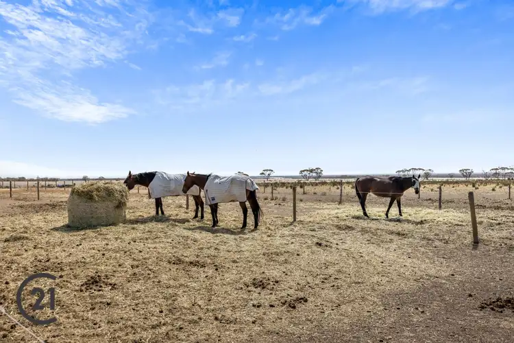 Fourth view of Homely rural property listing, Lot 3s Border Road, Australia Plains SA 5374