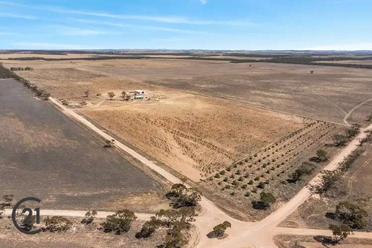 Sixth view of Homely rural property listing, Lot 3s Border Road, Australia Plains SA 5374