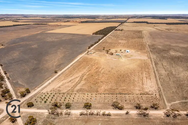Seventh view of Homely rural property listing, Lot 3s Border Road, Australia Plains SA 5374
