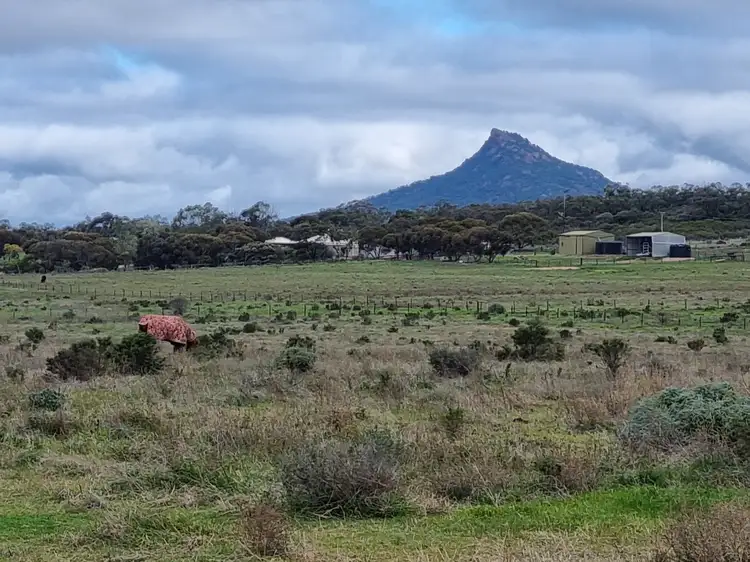 Main view of Homely rural property listing, 252 Pepper Tree Lane, Quorn SA 5433