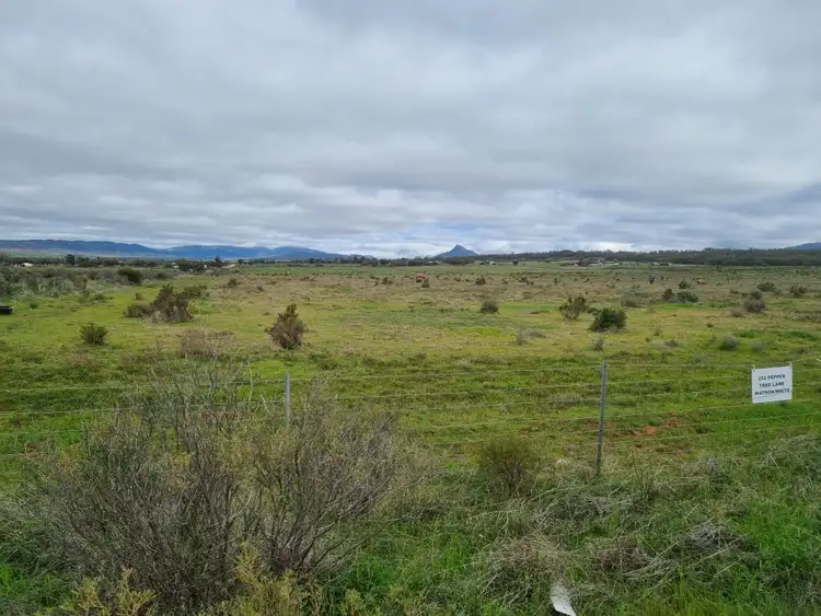 Third view of Homely rural property listing, 252 Pepper Tree Lane, Quorn SA 5433