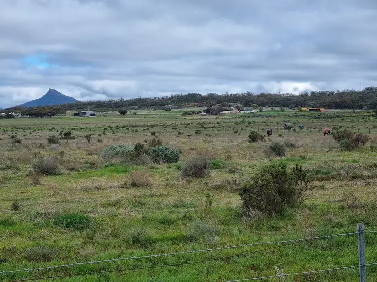Fifth view of Homely rural property listing, 252 Pepper Tree Lane, Quorn SA 5433