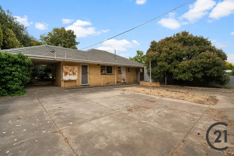 Second view of Homely house listing, 21 Corella Street, Nuriootpa SA 5355