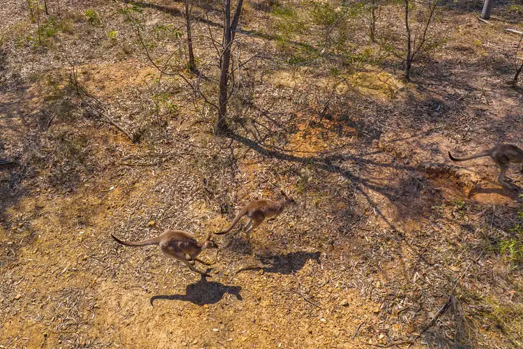 Fifth view of Homely land listing, 56 Arborthirty Road, Glenwood QLD 4570