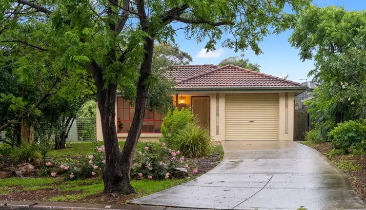 7 Tilbrook Court, Mclaren Vale SA 5171