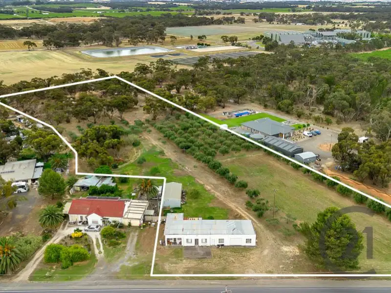 Main view of Homely rural property listing, 2983 Sturt Highway, Nuriootpa SA 5355