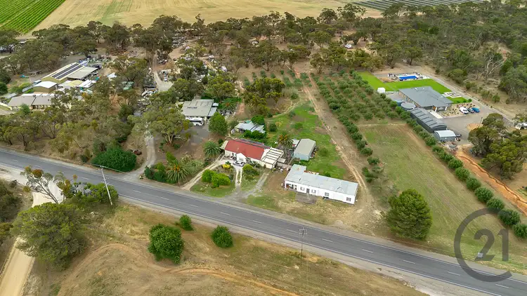 Sixth view of Homely rural property listing, 2983 Sturt Highway, Nuriootpa SA 5355