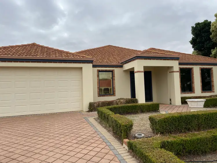Main view of Homely house listing, 62 Braidwood Drive, Australind WA 6233