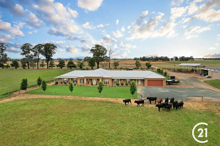 Main view of Homely house listing, 896 Rowe Road, Echuca VIC 3564