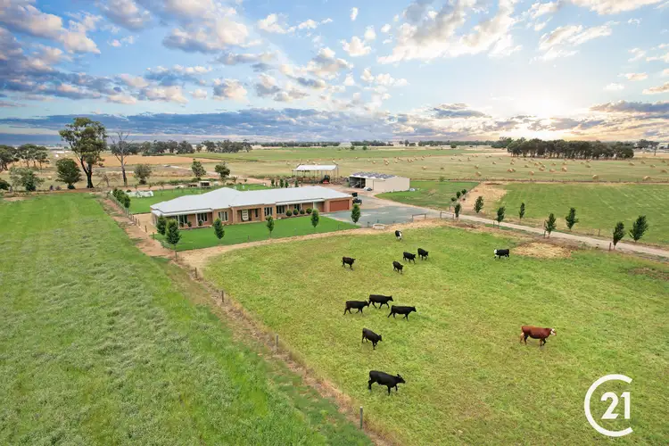 Second view of Homely house listing, 896 Rowe Road, Echuca VIC 3564