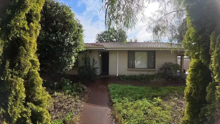 4 Beagle Place, Carey Park WA 6230