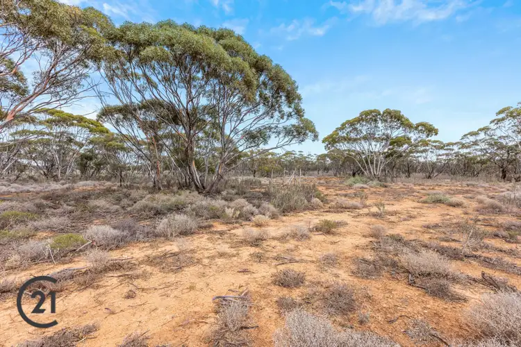 Fourth view of Homely rural property listing, 1451 Bower Boundry Road, Brownlow SA 5374