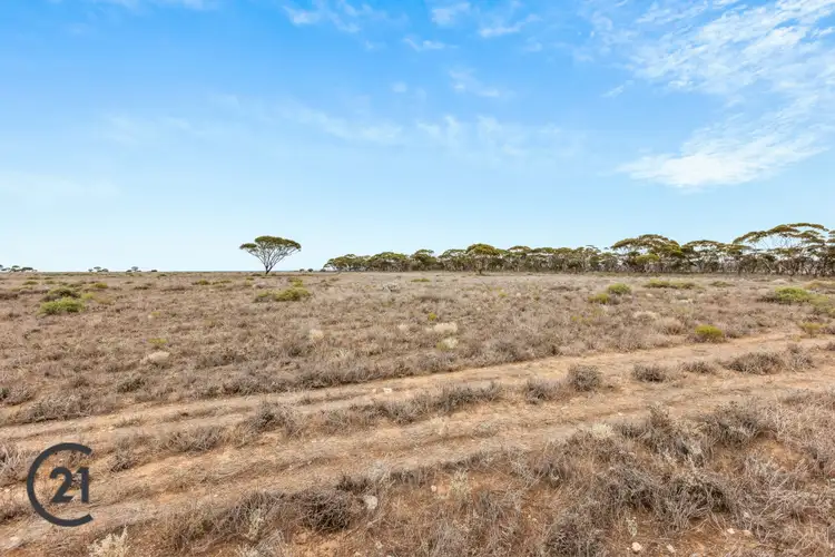 Fifth view of Homely rural property listing, 1451 Bower Boundry Road, Brownlow SA 5374