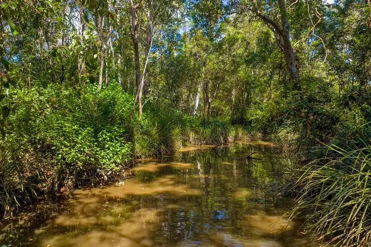 Seventh view of Homely land listing, Lot 213 Arborthree Road, Glenwood QLD 4570
