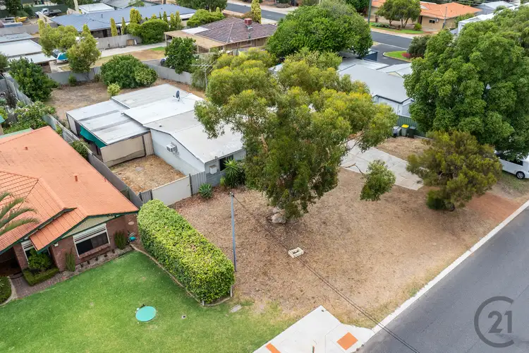 Fifth view of Homely house listing, 36 Thera Street, Falcon WA 6210