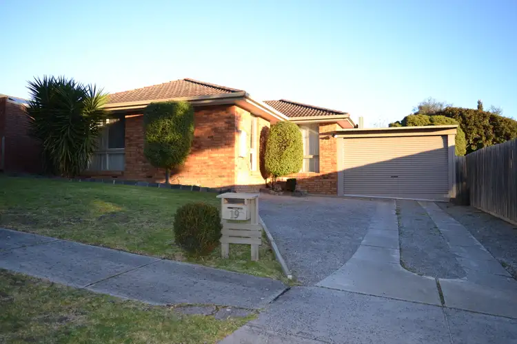 Main view of Homely house listing, 19 Throsby Court, Endeavour Hills VIC 3802