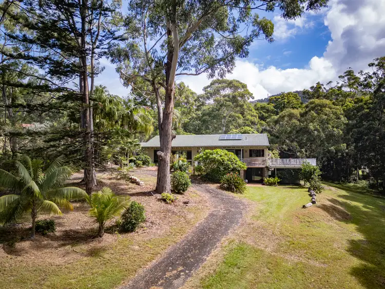 Fourth view of Homely rural property listing, 31 Gaudrons Road, Sapphire Beach NSW 2450