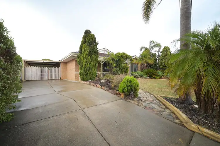 Second view of Homely house listing, 22 Kempton Grove, Clarkson WA 6030