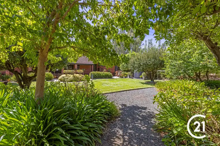 Fifth view of Homely house listing, 19 Glyn Road, Echuca VIC 3564