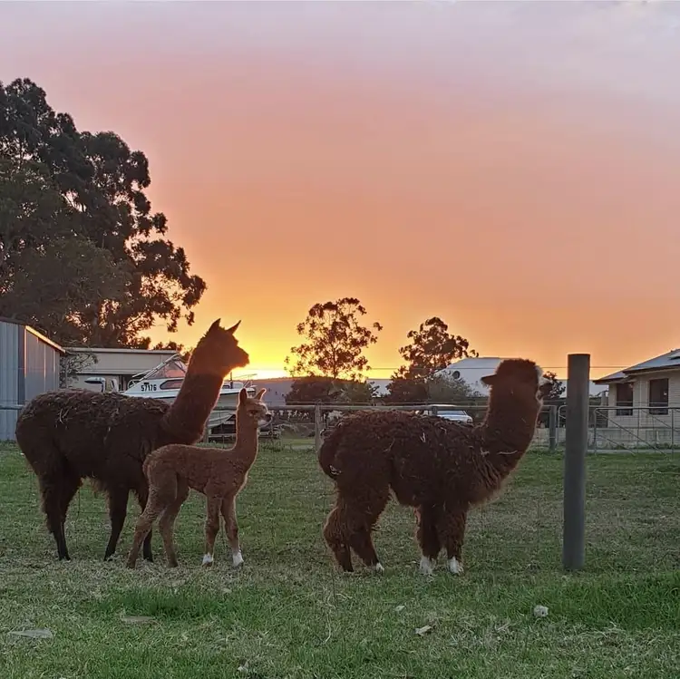Sixth view of Homely house listing, 26 Jersey Road, Oakford WA 6121