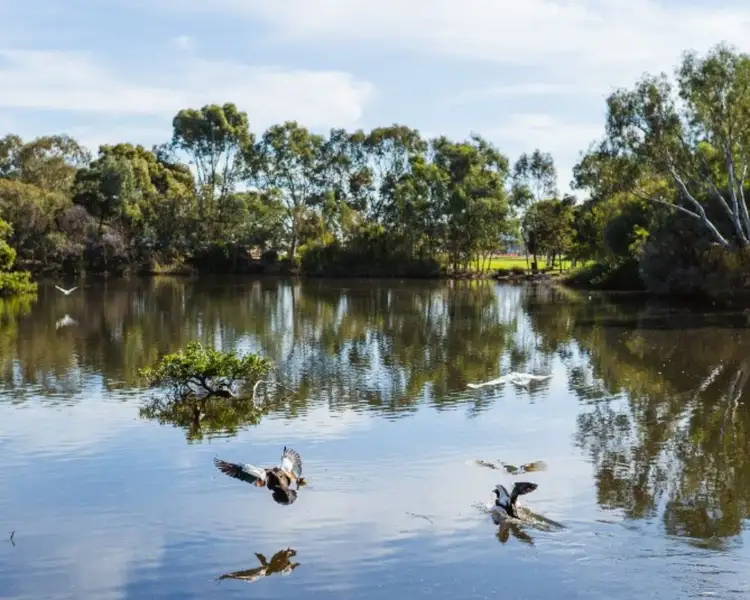 Third view of Homely house listing, 1/106 Keymer Street, Belmont WA 6104