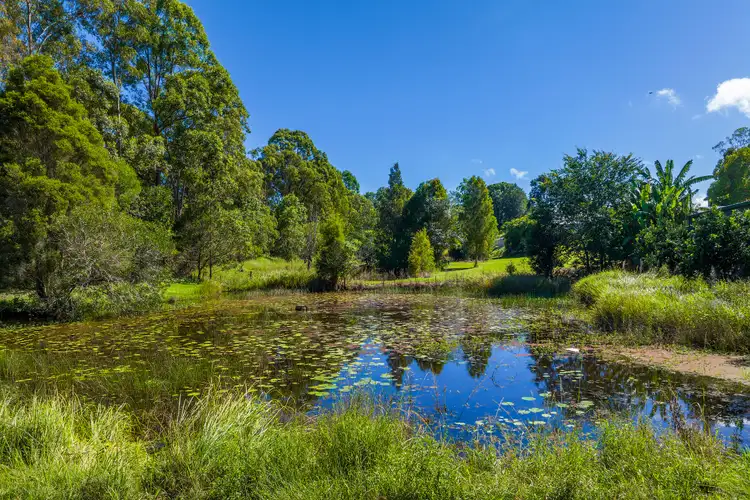 Fifth view of Homely rural property listing, 87 Fritz Road, Chatsworth QLD 4570