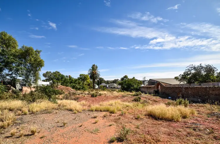 Main view of Homely land listing, 253 Chapple Street, Broken Hill NSW 2880