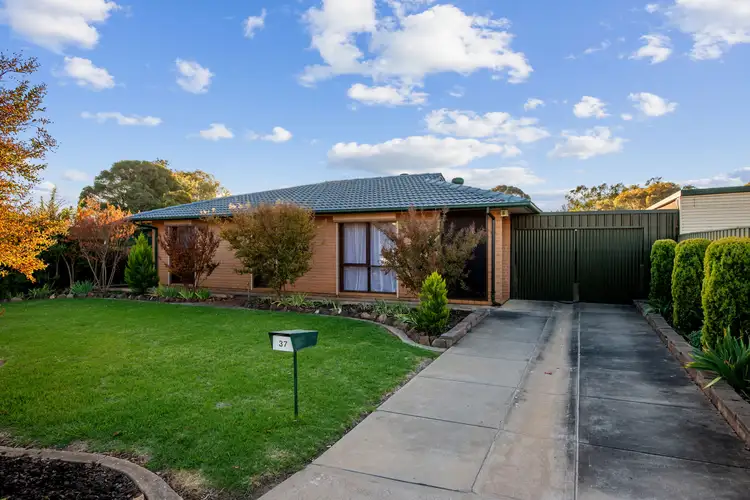 Main view of Homely house listing, 37 Jones Crescent, Elizabeth East SA 5112