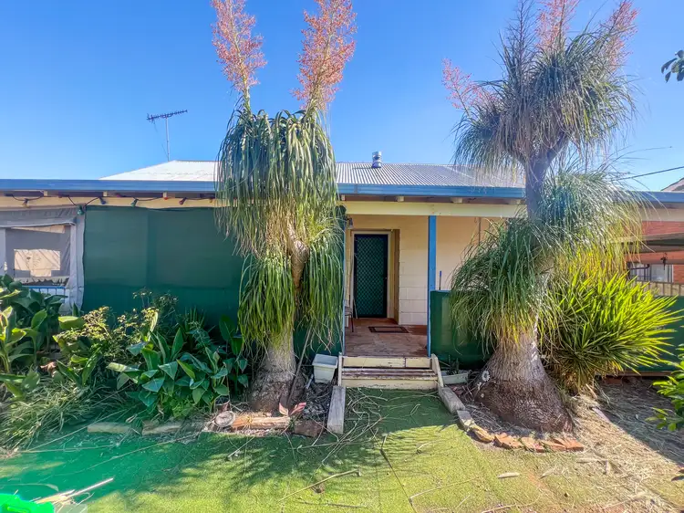 48 Howard Street, Peak Hill NSW 2869