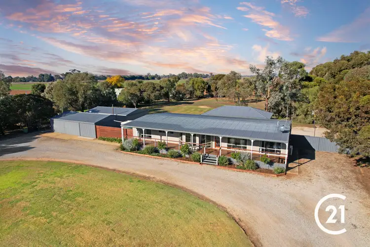 Second view of Homely house listing, 969 Mount Terrick Road, Echuca VIC 3564